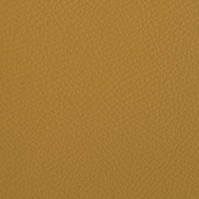 13254