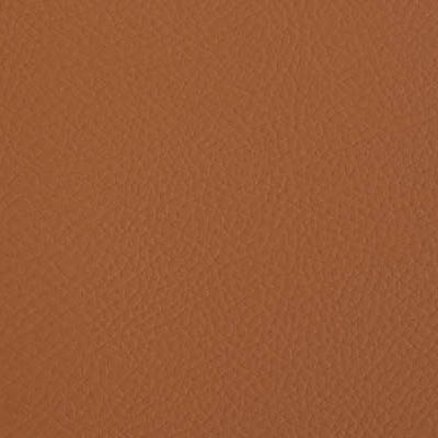 13255
