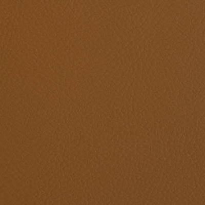 13646