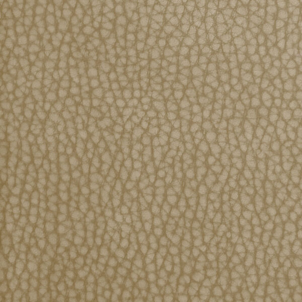 04-fr