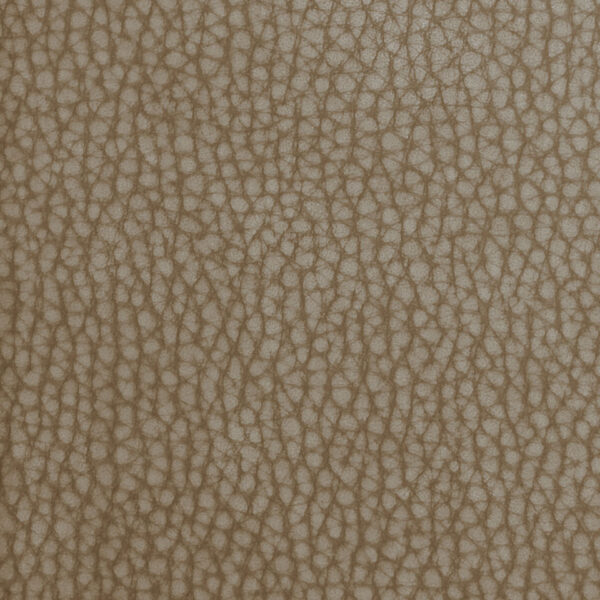 14-fr