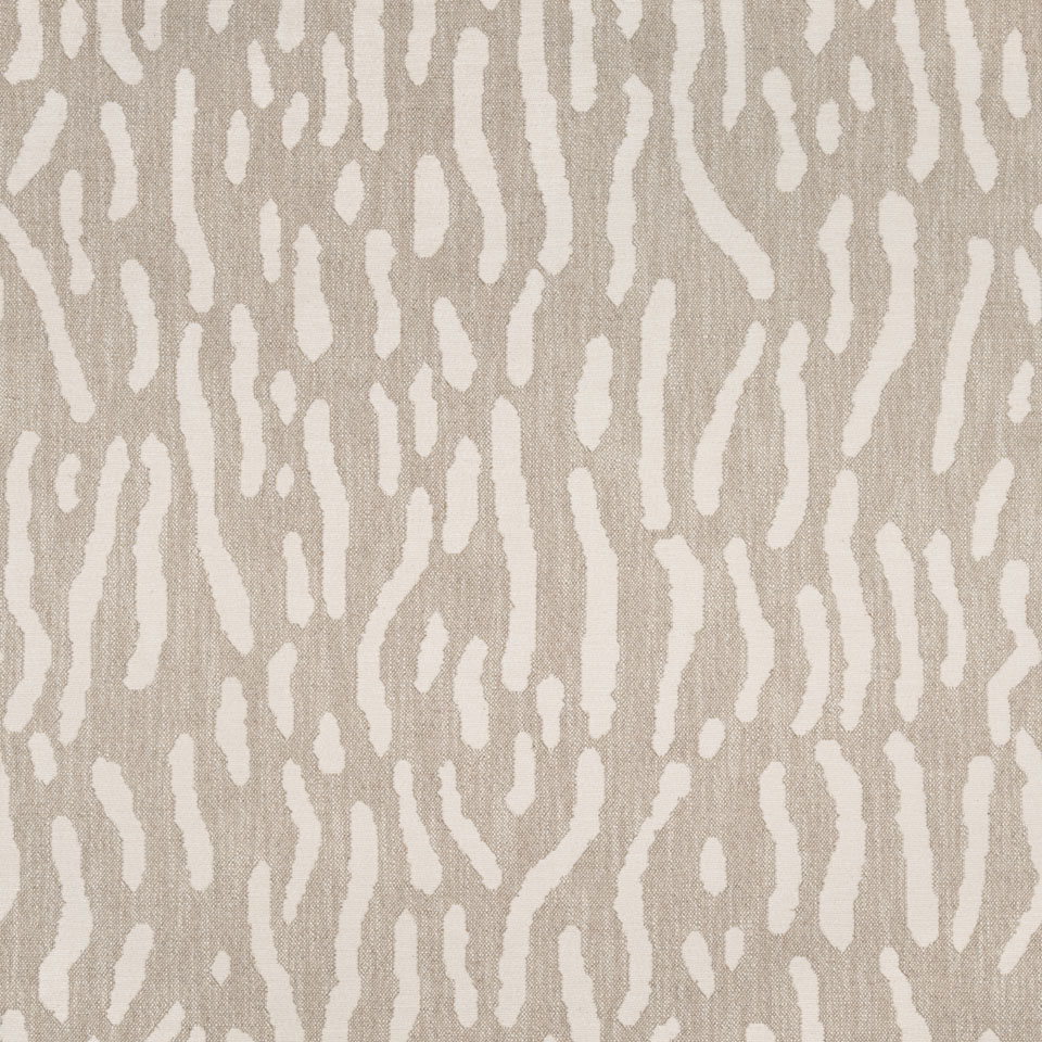 Tiger AB-SERENGETI-G339-01570-repeat